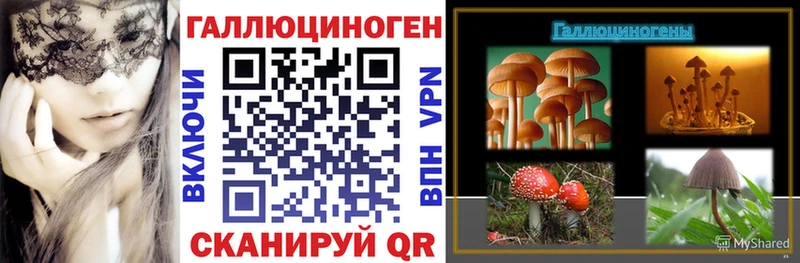 гидра как войти  как найти закладки  Лосино-Петровский  Галлюциногенные грибы Psilocybe 